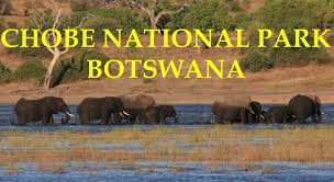 chobe