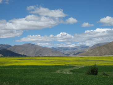 Mt. Qomolangma 11 - Copy