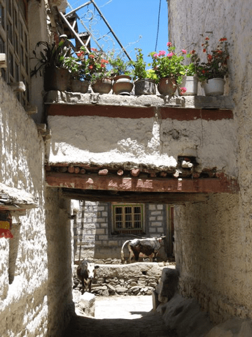 Mt. Qomolangma 39 - Copy