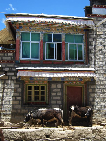 Mt. Qomolangma 80 - Copy