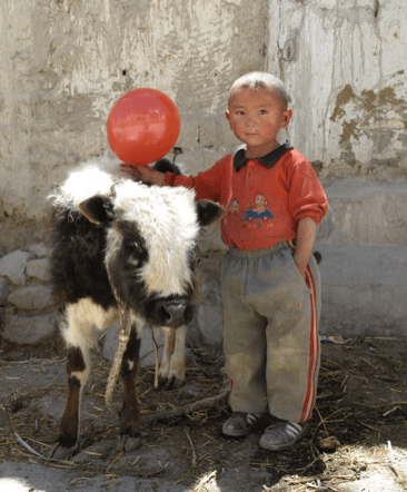 Mt. Qomolangma 86 - Copy