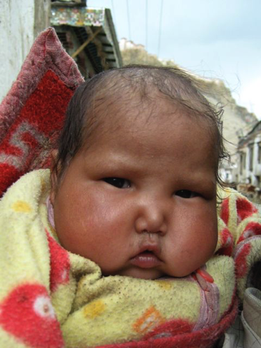 Mt. Qomolangma 88 - Copy