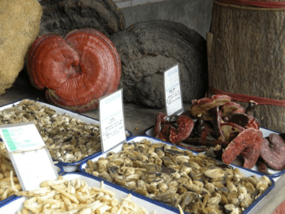 China_60 Stories High 34