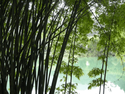 China_60 Stories High 48