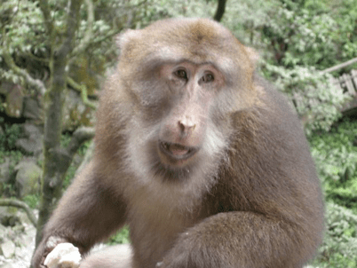 China_60 Stories High 54