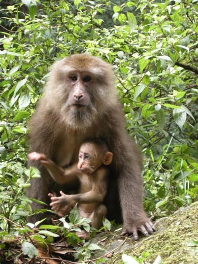 China_60 Stories High 55