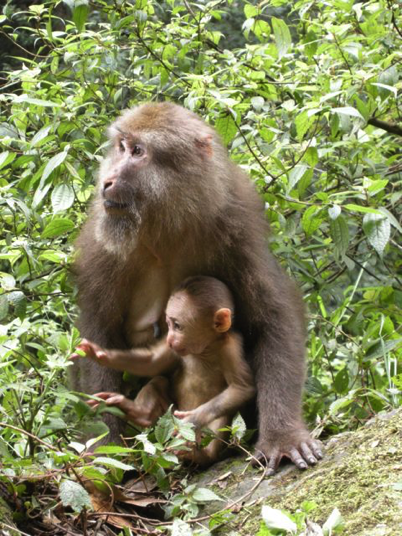 China_60 Stories High 56