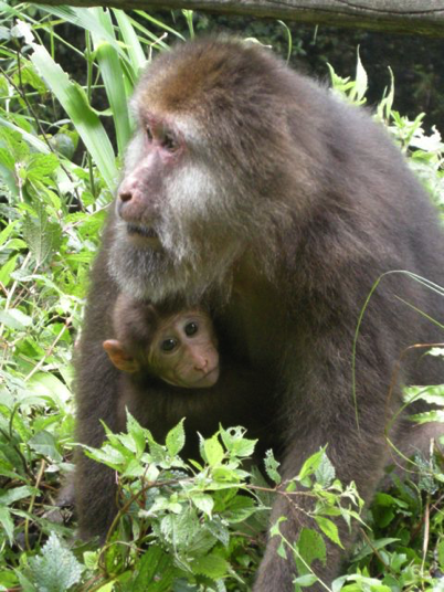 China_60 Stories High 57