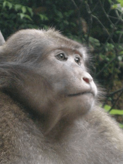 China_60 Stories High 58