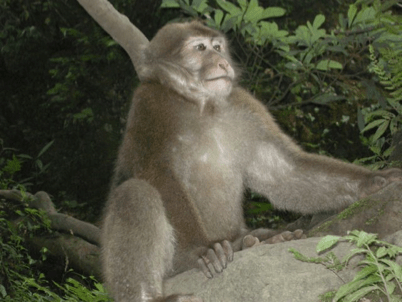 China_60 Stories High 59