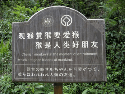 China_60 Stories High 62