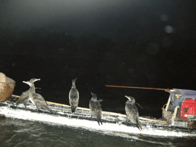 China_A River Runs 62