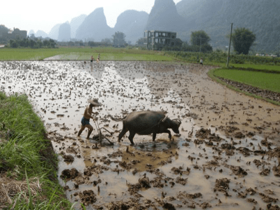 China_A River Runs 75