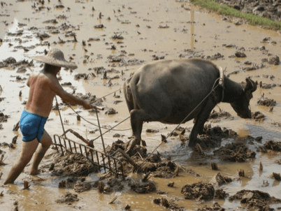 China_A River Runs 76