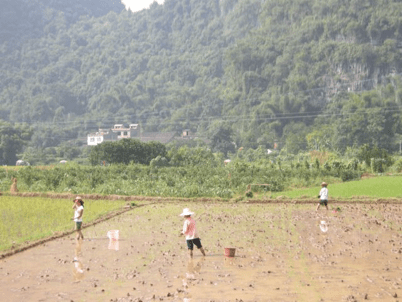 China_A River Runs 77