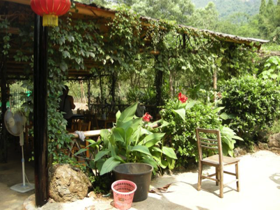 China_A River Runs 81