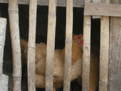 China_A River Runs 90