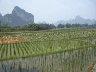 China_A River Runs 94