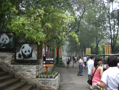 China_Still Standing 70