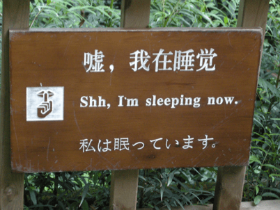 China_Still Standing 82