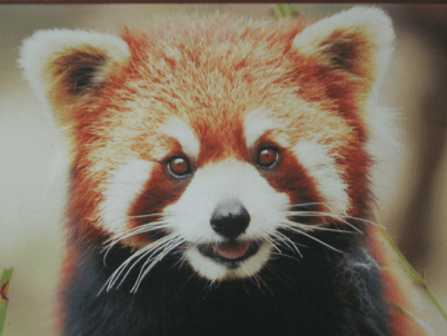 China_Still Standing 87