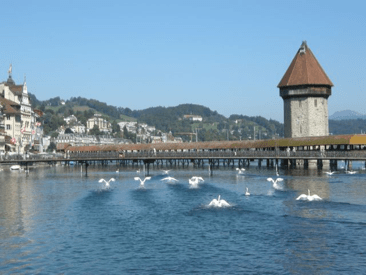 Switzerland_Wine and Cheese 13