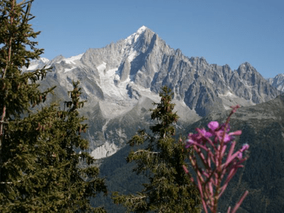 The Swiss Baguette 1