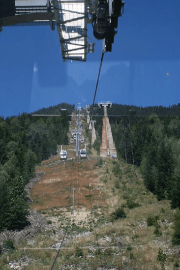 The Swiss Baguette 52