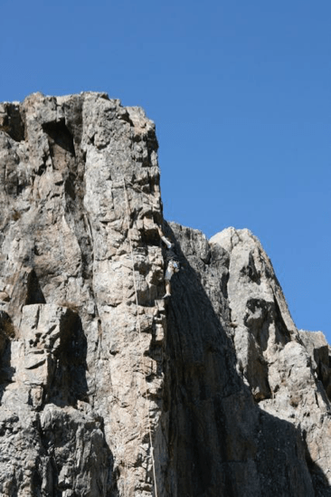 The Swiss Baguette 54