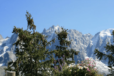 The Swiss Baguette 58