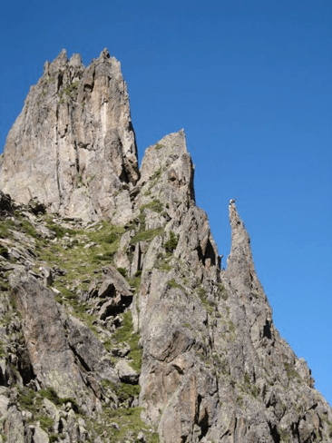 The Swiss Baguette 59