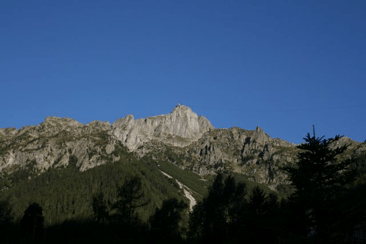 The Swiss Baguette 60