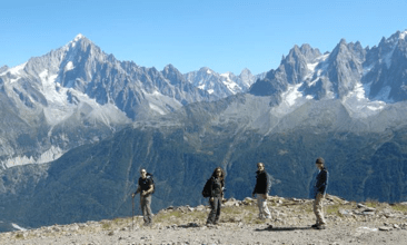 The Swiss Baguette 66