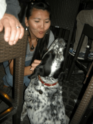 The Swiss Baguette 86