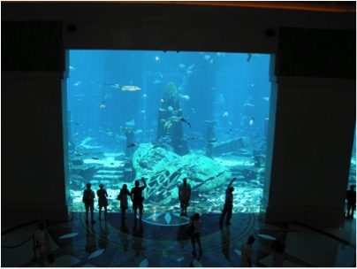 aquarium 1