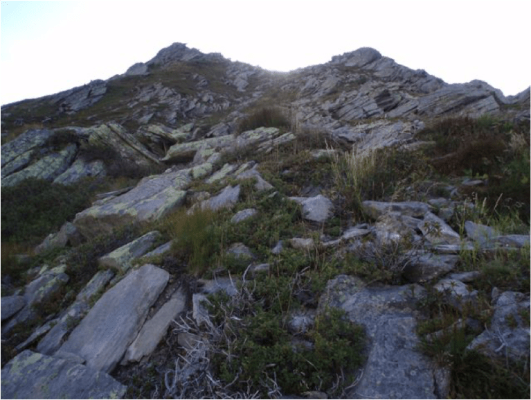 Turning 40 over the mountain 54