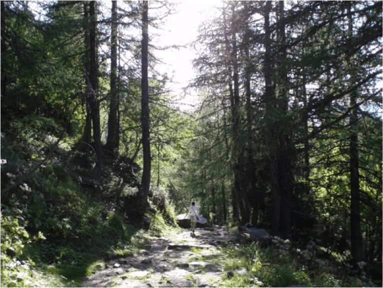 Turning 40 over the mountain 60