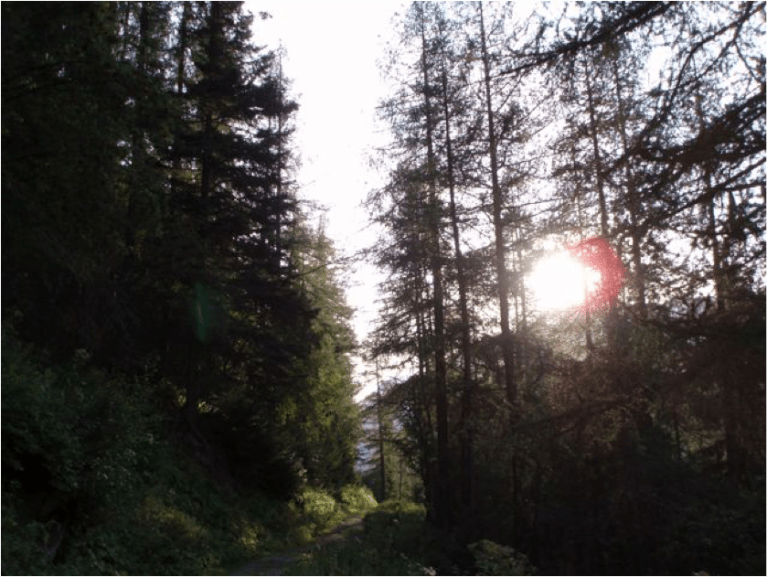 Turning 40 over the mountain 61